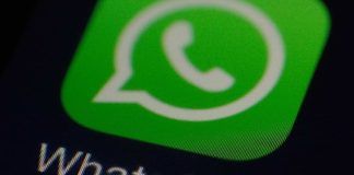 WhatsApp nascondere cellualre