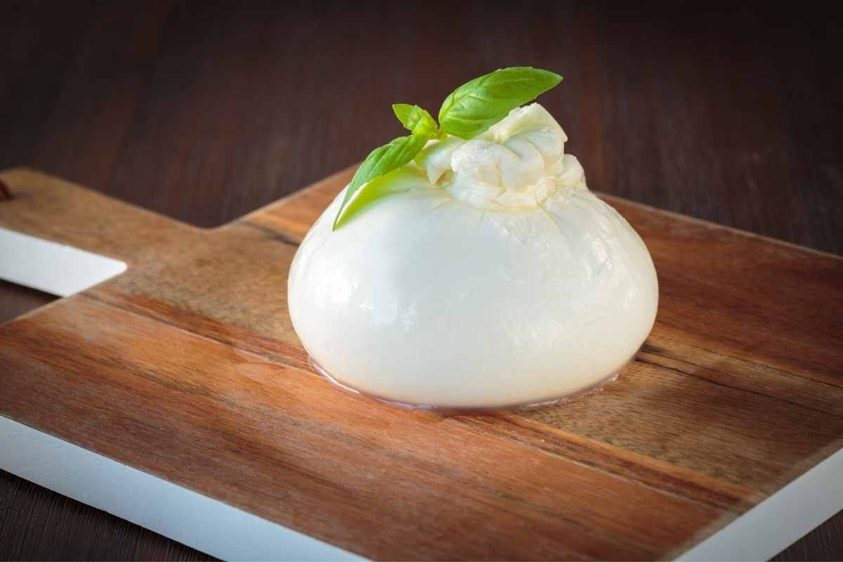 mozzarella bufala campana prodotto top italiano