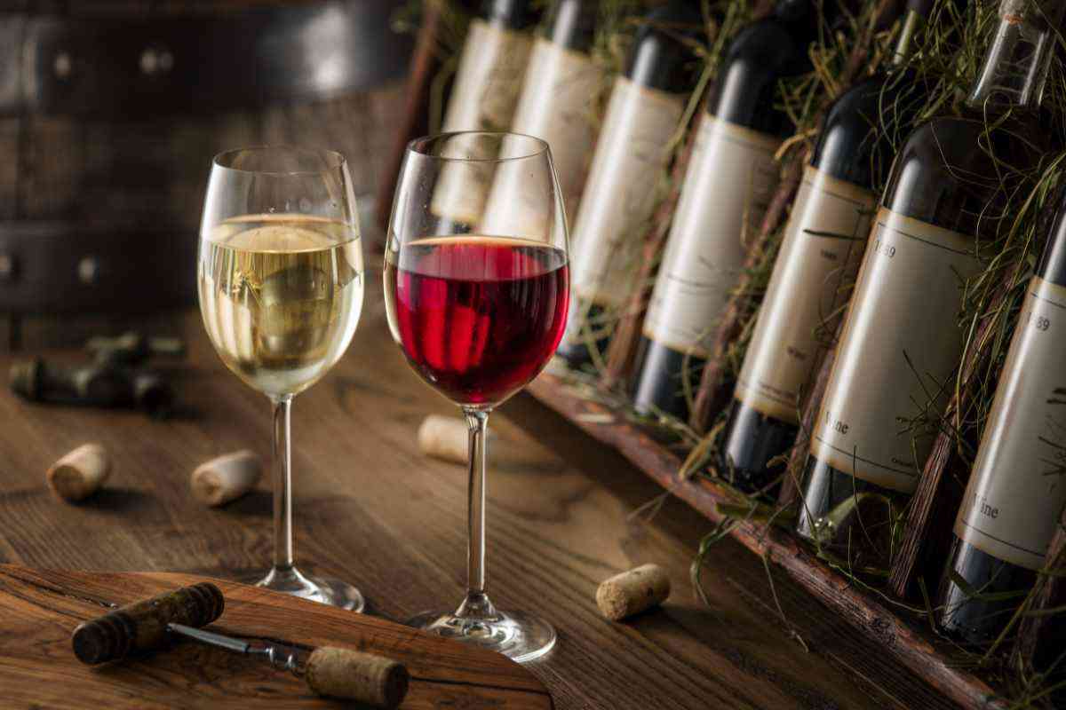 scelta di vini dal rosso al bianco passando per il rosé