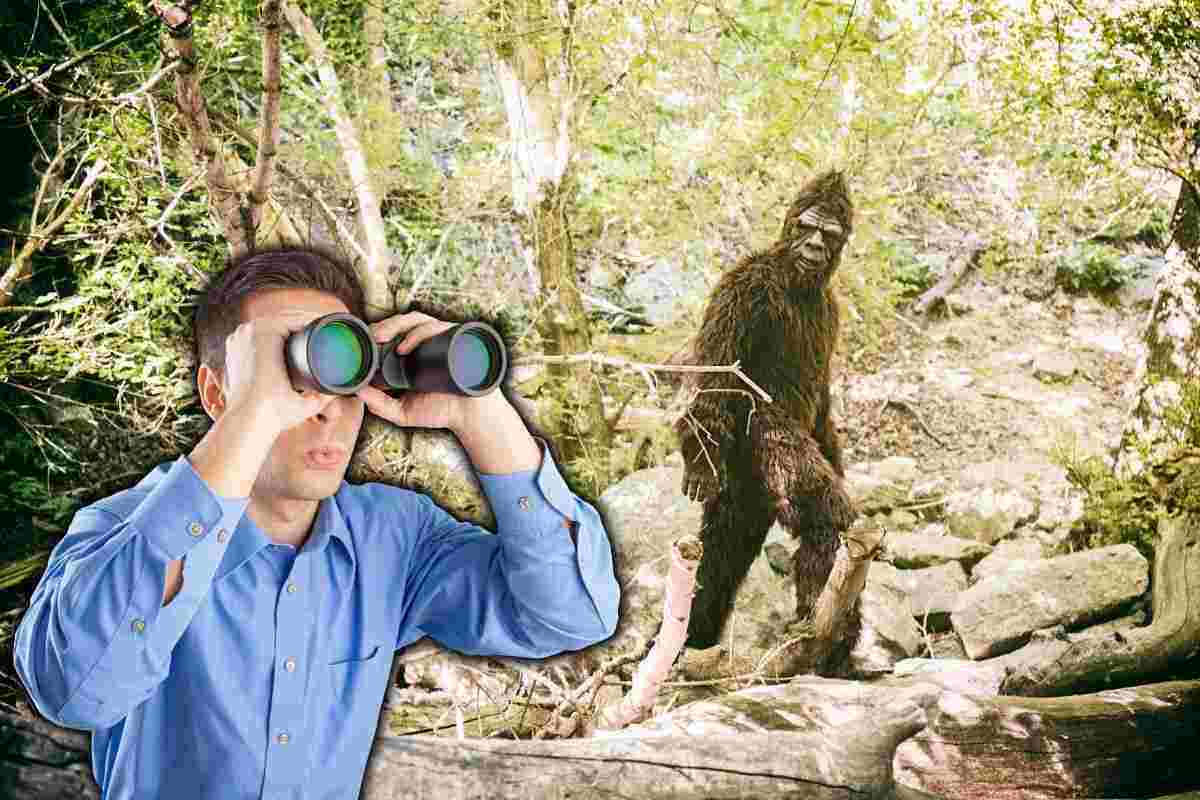 Bigfoot non esiste: la prova