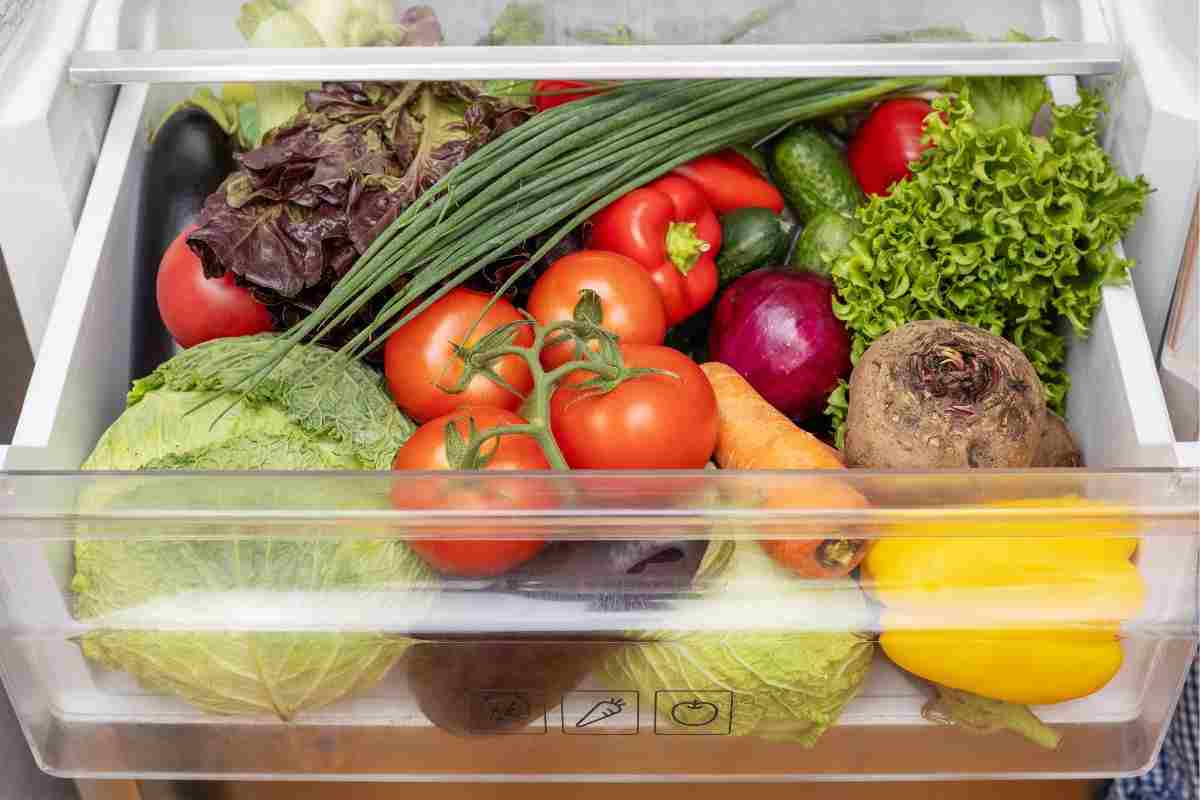 conservare alimenti in frigorifero