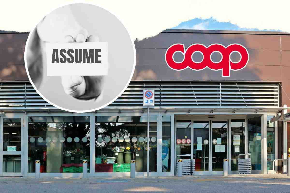 Opportunità di lavoro Coop ecco le città