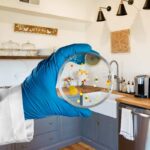 cucina e mano che mantiene un vetrino con colonia di batteri