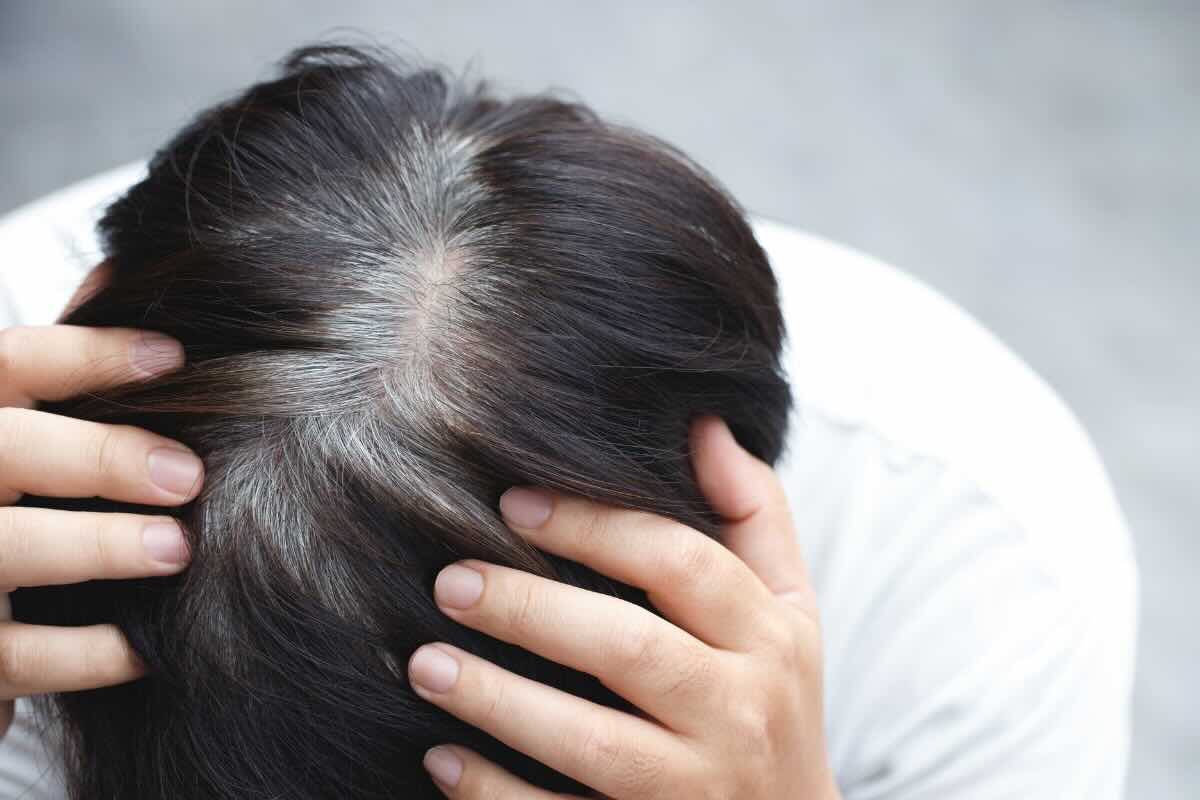 testa con capelli neri e grigi