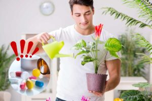 uomo innaffia pianta in vaso e pillole